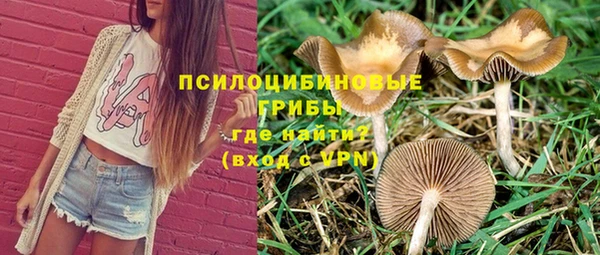 метамфетамин Инта
