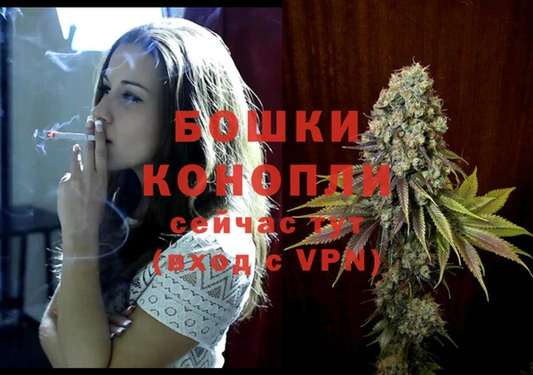хмурый Каменка