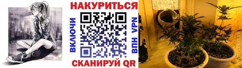 МАРИХУАНА гибрид  shop официальный сайт  Благодарный  магазин  наркотиков 
